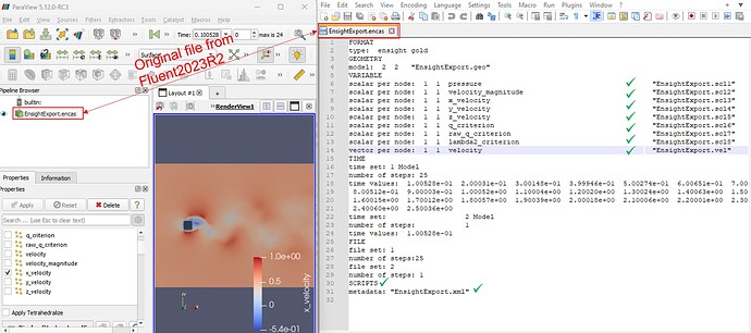 Paraview-solved-problem