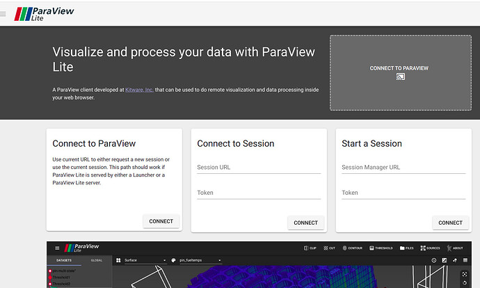 connect_to_paraview