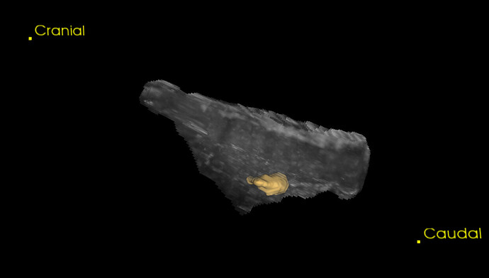 Screenshot 2026-01-14 142320