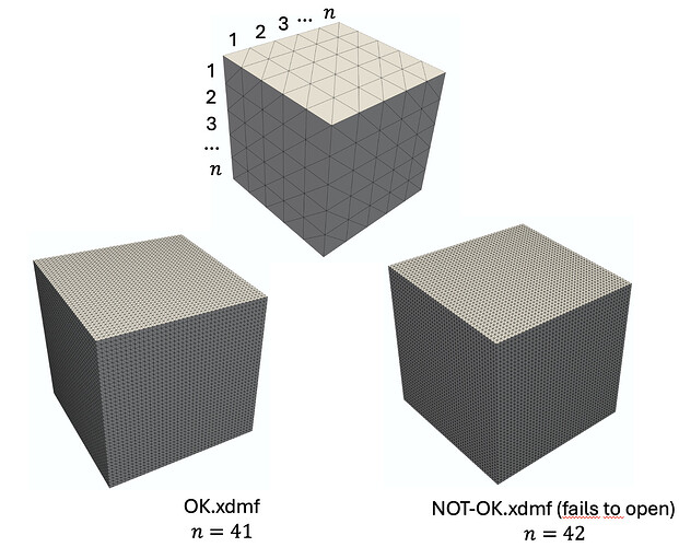 how_the_meshes_look_like