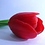 Syeda_Sumaiya